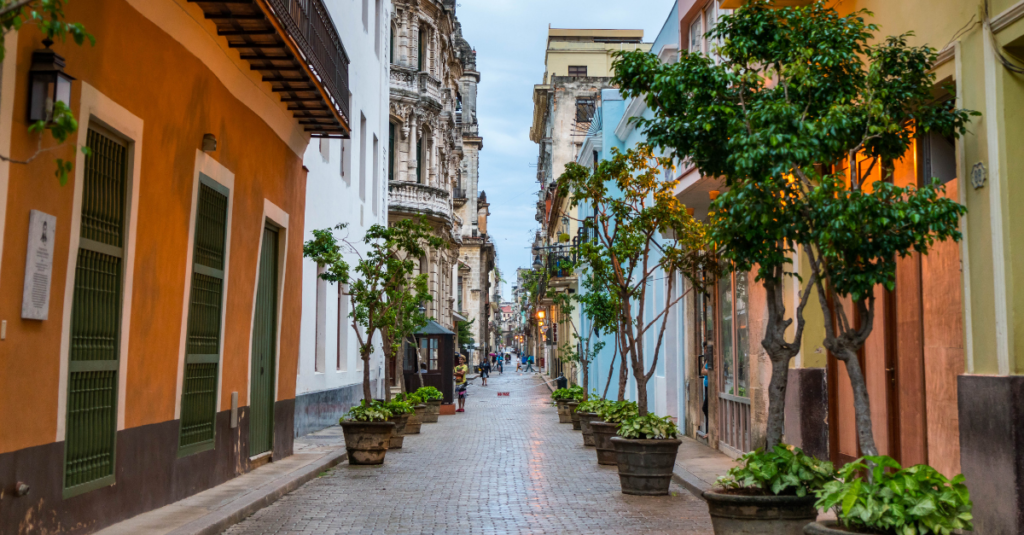 City street with trees