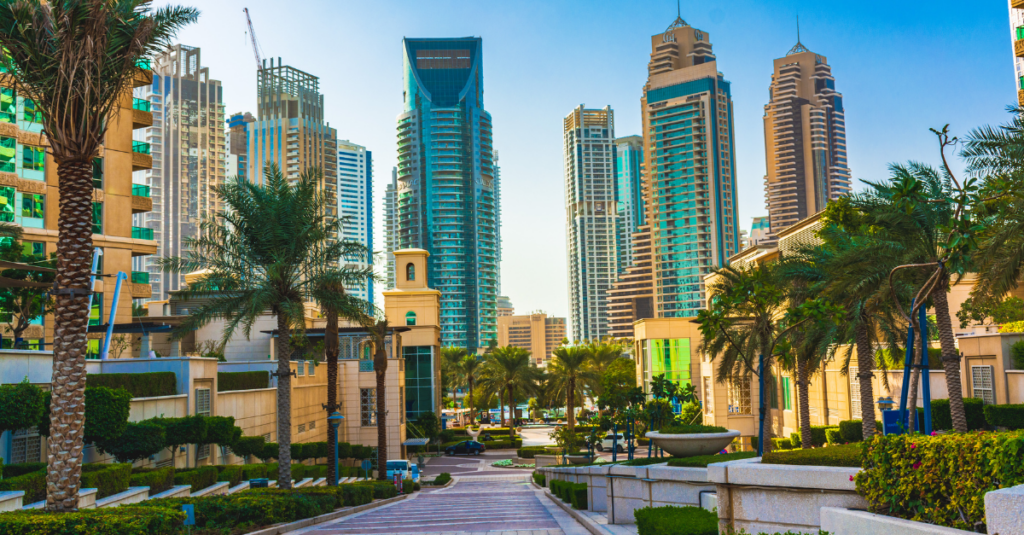 City scape with palm trees