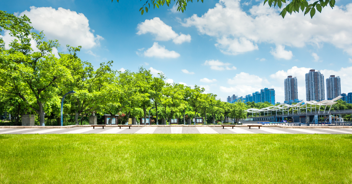 City park with city in the background