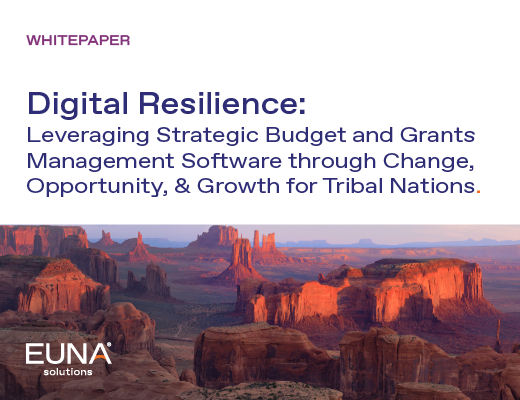 Digital Resilience: Leveraging Strategic Budget & Grants Management ...