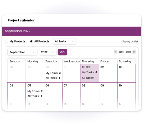 Decorative image "Project calendar"