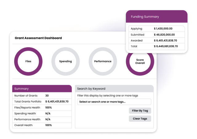 Decorative image "Grant assessment dashboard"