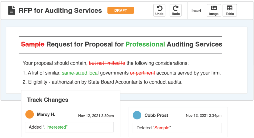 RFP for auditing services system screenshot