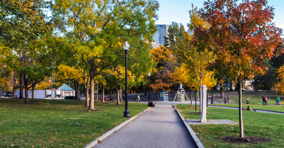 City street in autumn