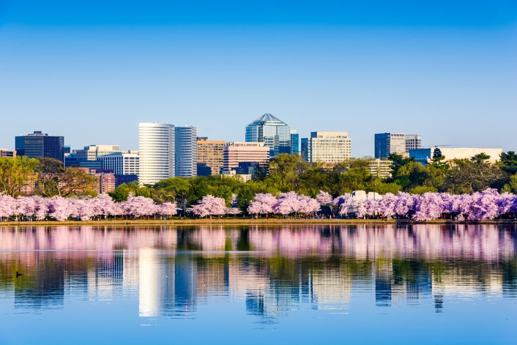 city-by-river-to-where-public-sector-is-Building-an-Effective-Online-Payments-Proposal-