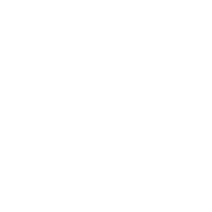 Euna Solutions Utilities Electricity Icon