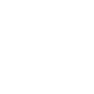 Euna Solutions Special Districts Emergency Icon