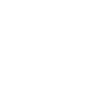 Euna Solutions Healthcare Icon