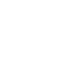 Euna Solutions Healthcare Icon