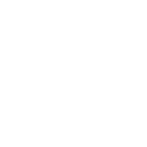 Euna Solutions Special Districts Library Icon