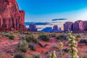 tribal nations blog featured image