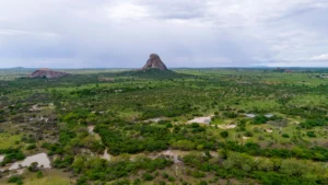 How-Data-Improves-Tribal-Government-Financial-Decisions